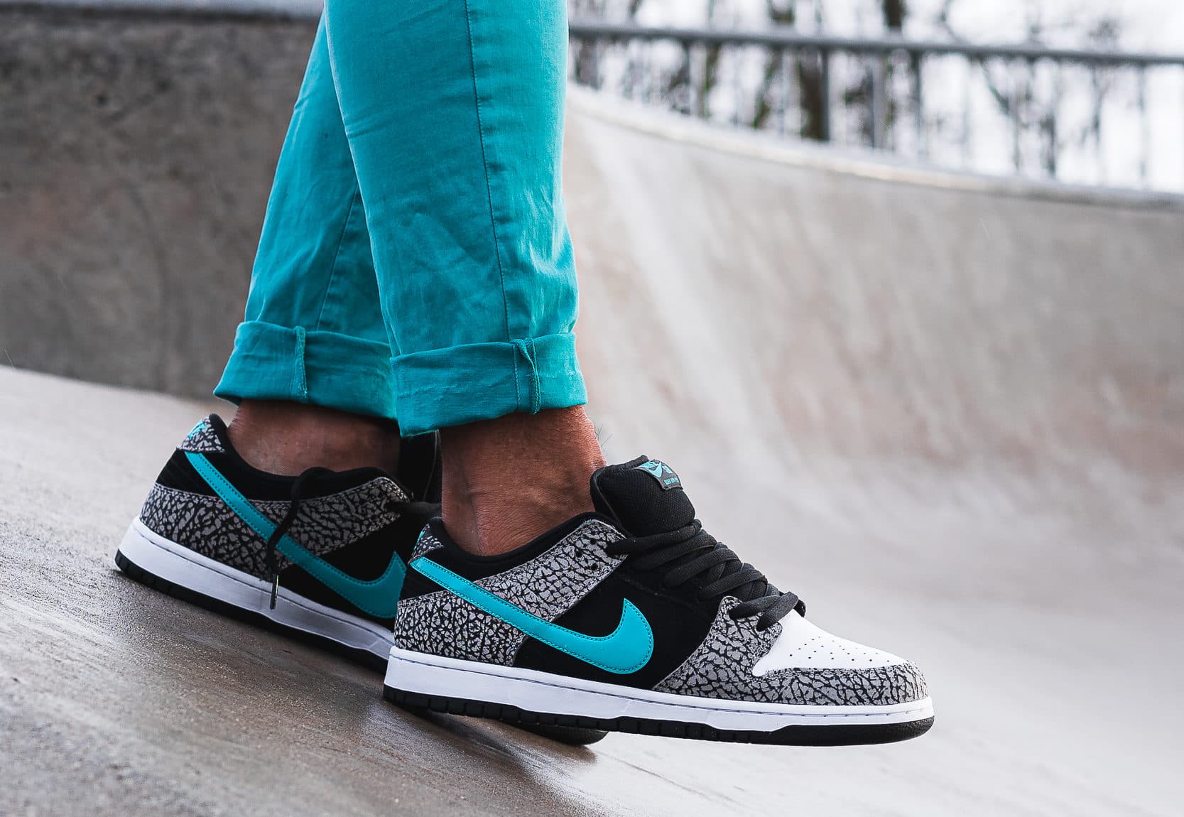 Кроссовки Nike SB Dunk Low Pro Atmos Elephant