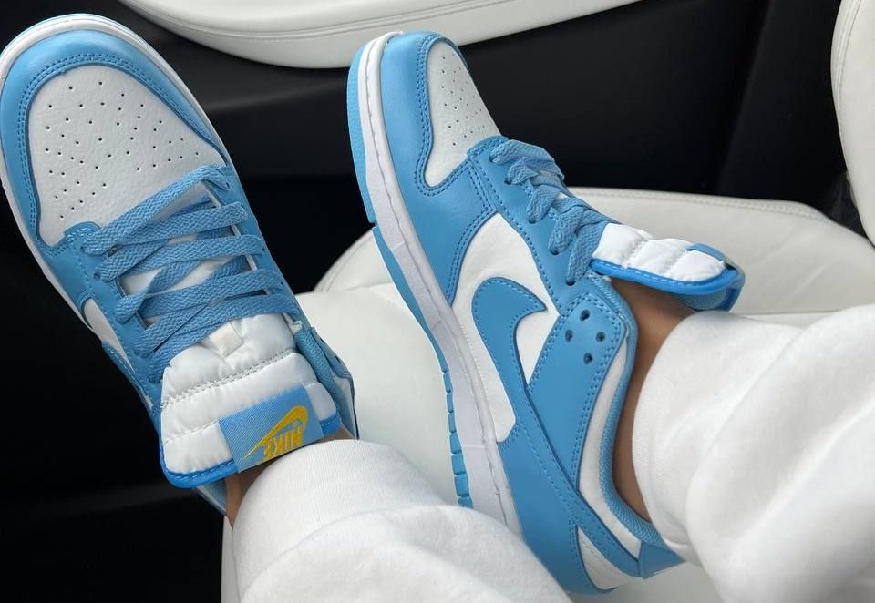 Кроссовки Nike Dunk Low Coast