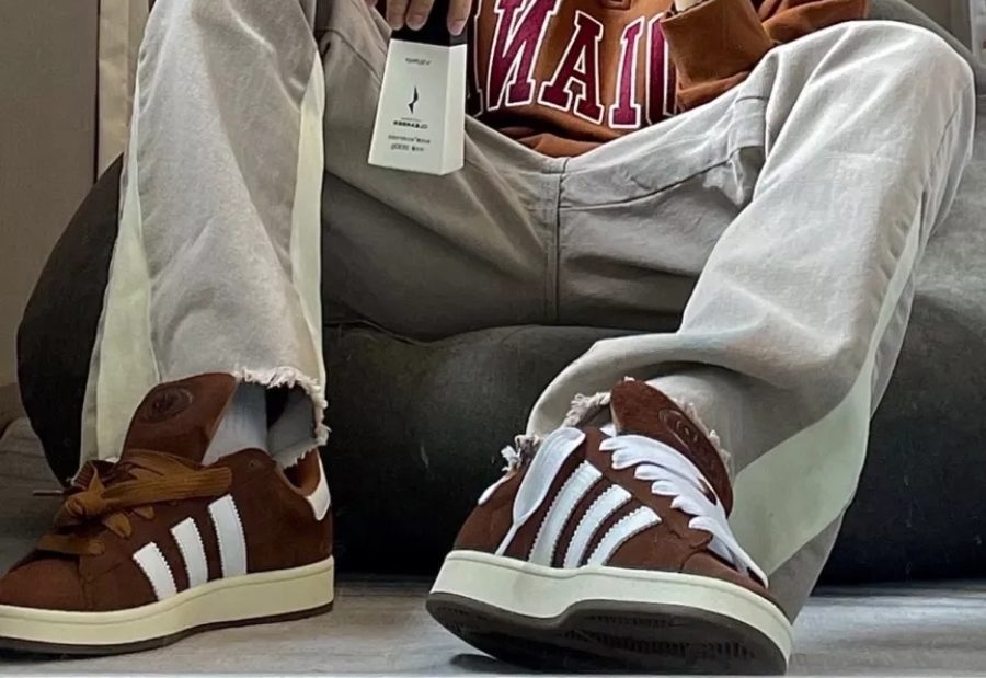 Кроссовки Adidas Campus Bark